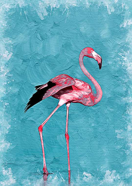Flamingo
