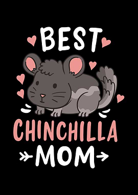 Chinchilla Mom Mothers D
