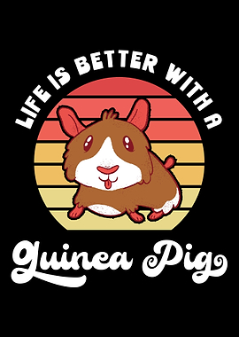 Guinea pig Gift