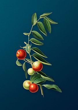 Vintage Chinese Jujube Art