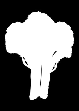 Broccoli Vegan Vegetables