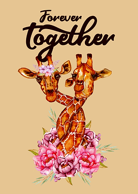 Giraffe Giraffes Africa