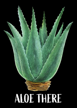 Aloe Vera Garden Plant Flo