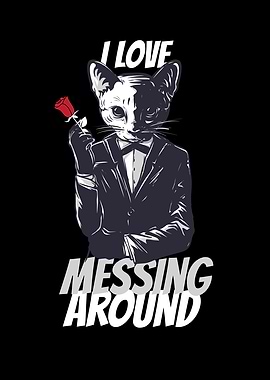 Cats Black Cat Cat Lover