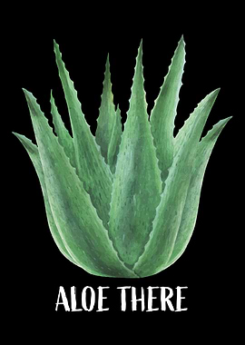 Aloe Vera Garden Plant Flo