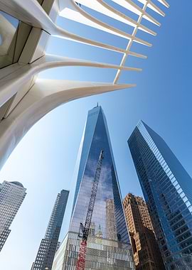Oculus and One World Trade