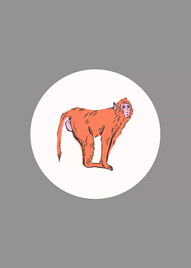Minimalistic Baboon