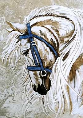 Beautiful white horse