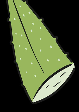 Aloe Vera Garden Plant Flo