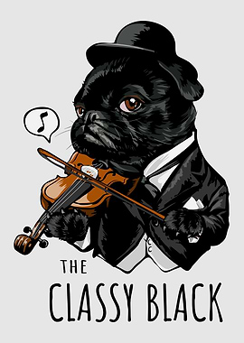 The Classy Black Pug