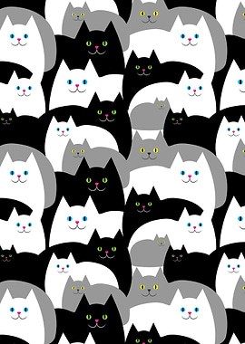 Black Gray and White cat