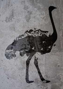 Graffiti Nature Ostrich