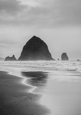 Monochrome coastal dream