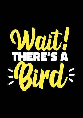 Bird Ornithologist Bird Wa