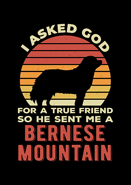 Funny Bernese Mountain