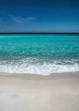 Sandy Sea Beach waves