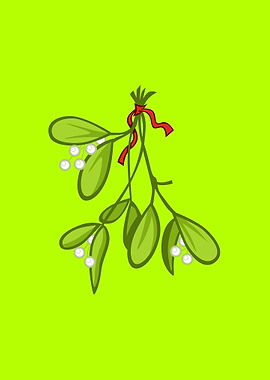 Christmas plant leaves