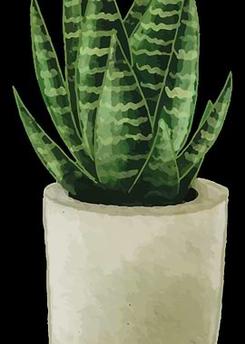 Aloe Vera Garden Plant Flo