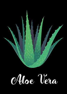 Aloe Vera Garden Plant Flo
