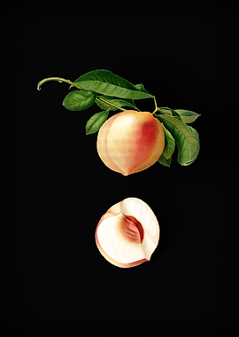 Vintage Peaches Fruits Art