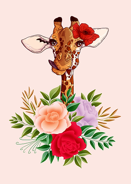 Giraffe Giraffes Africa