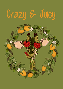 Giraffe Giraffes Africa