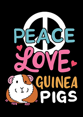 Guinea Pig