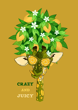 Giraffe Giraffes Africa