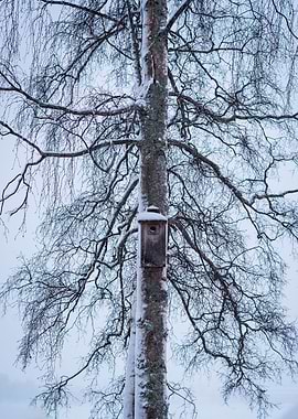 Snowy Birdhouse