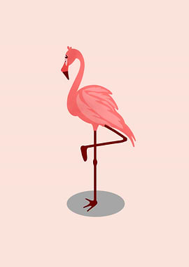 Flamingo