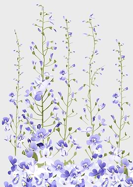 Delicate wild flowers