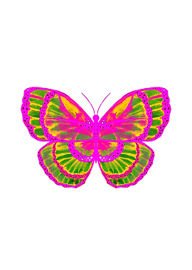 Pink and Green Butterfly