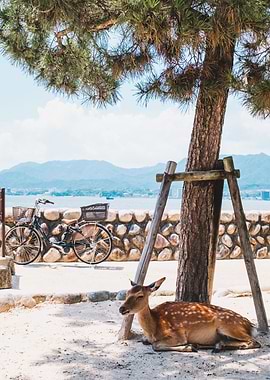 Resting Deer Japan II