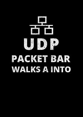 IT Network Administrator