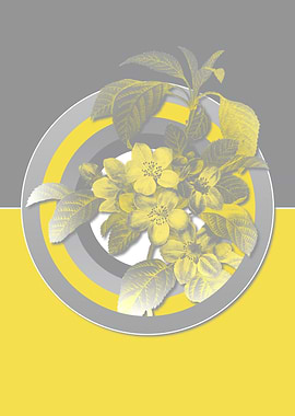 Apple Blossom Yellow Gray