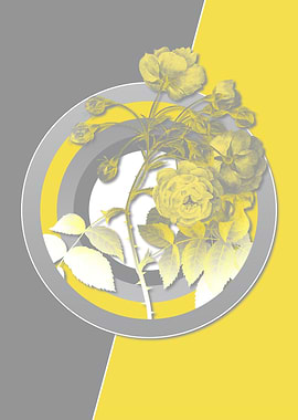 Adelia in Yellow and Gray