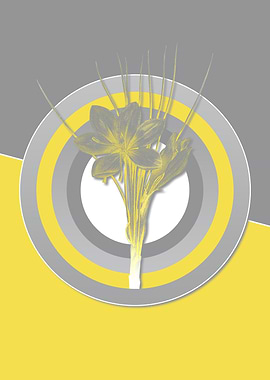 Autumn Crocus Yellow Gray