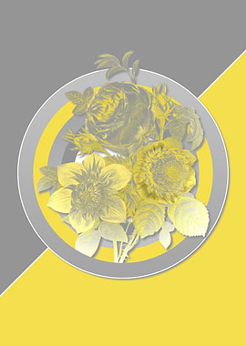 Anemone Rose In Gray