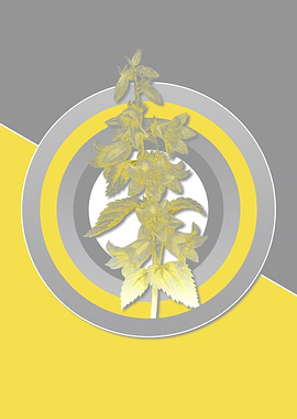 Bellflowers in Yellow Gray