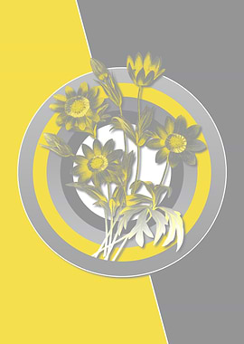 Anemone Flower Yellow Gray