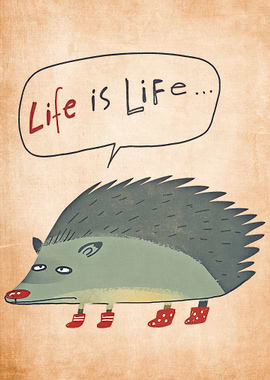 cute hedgehog