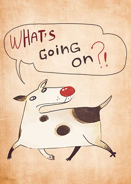 dogs whats going on