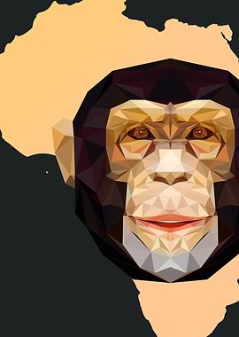 Geometrical Monkey
