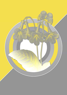 Canterbury Bells Yellow