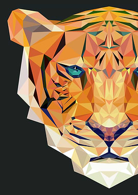Geometrical Tiger