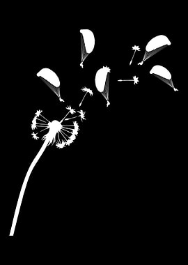 Parachute jumping gift