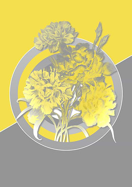 Carnation Yellow and Gray