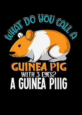 What do you call a Guinea