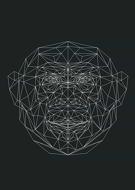 Geometrical Monkey
