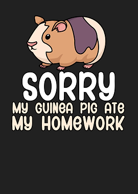Guinea pig homework kids